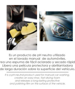 Limpiador Coche