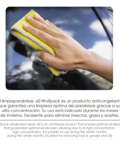 Limpiacristales Parabrisas Coche / Auto 250 ml. Para 5 Litros