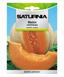 Semillas Melon Cantalupo (3 gramos) Semillas Frutas