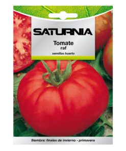 Semillas Tomate Raf (1.5 gramos) Semillas Verduras