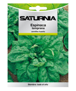 Semillas Espinaca Temprana (8 gramos) Semillas Verduras