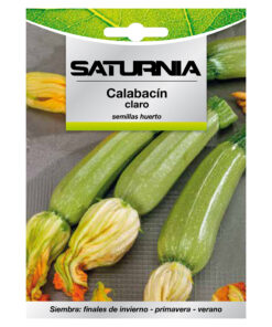 Semillas Calabacin Claro (5 gramos) Semillas Verduras