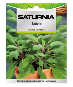 Semillas Aromaticas Salvia (1 gramo) Horticultura