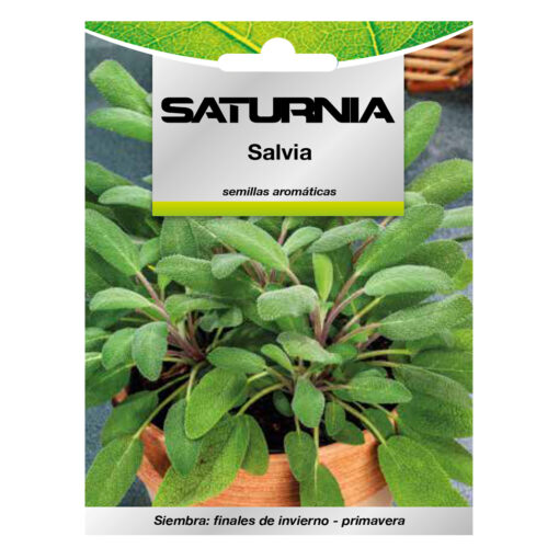 Semillas Aromaticas Salvia (1 gramo) Horticultura