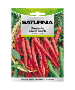 Semillas Pimiento Cayena Picante (1.5 gramos) Semillas Verduras