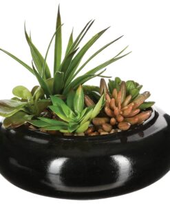 Composición de centro: surtido de plantas con florero de cerámica D20XH6