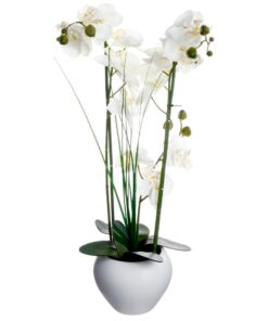 Jarrón de orquídea blanca cerámica H.53