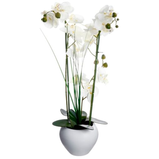 Jarrón de orquídea blanca cerámica H.53