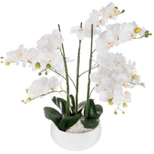 Orquídea olla cerámica blanca H65