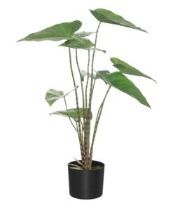 Planta zebrina maceta plast h74