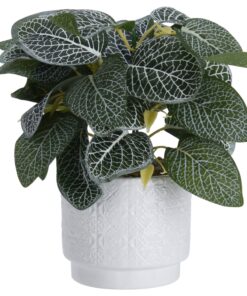 PLANT IN CERAMIC POT. SIZE POT 11X11X10CM. HEIGHT IN TOTAL INCLUDING PLANT: 28CM. WEIGHT 330GRAM. . EACH PIECE WITH BARCODE STICKER/ 110X110X280MM