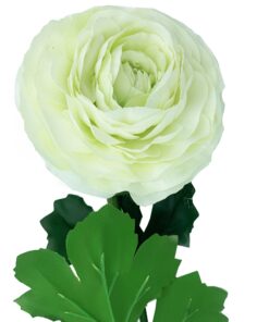 Ramo de ranunculo gigante con tacto natural 55 cm con flores de Ø12 cm en color blanco