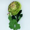 Ramo de ranunculo gigante con tacto natural 55 cm con flores de Ø12 cm en color verde